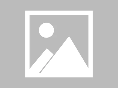 PLTR Stock: Cathie Wood Dumps Shares – What Does This Mean?